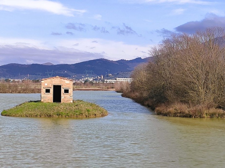 L'Erba Canta Associazione Culturale