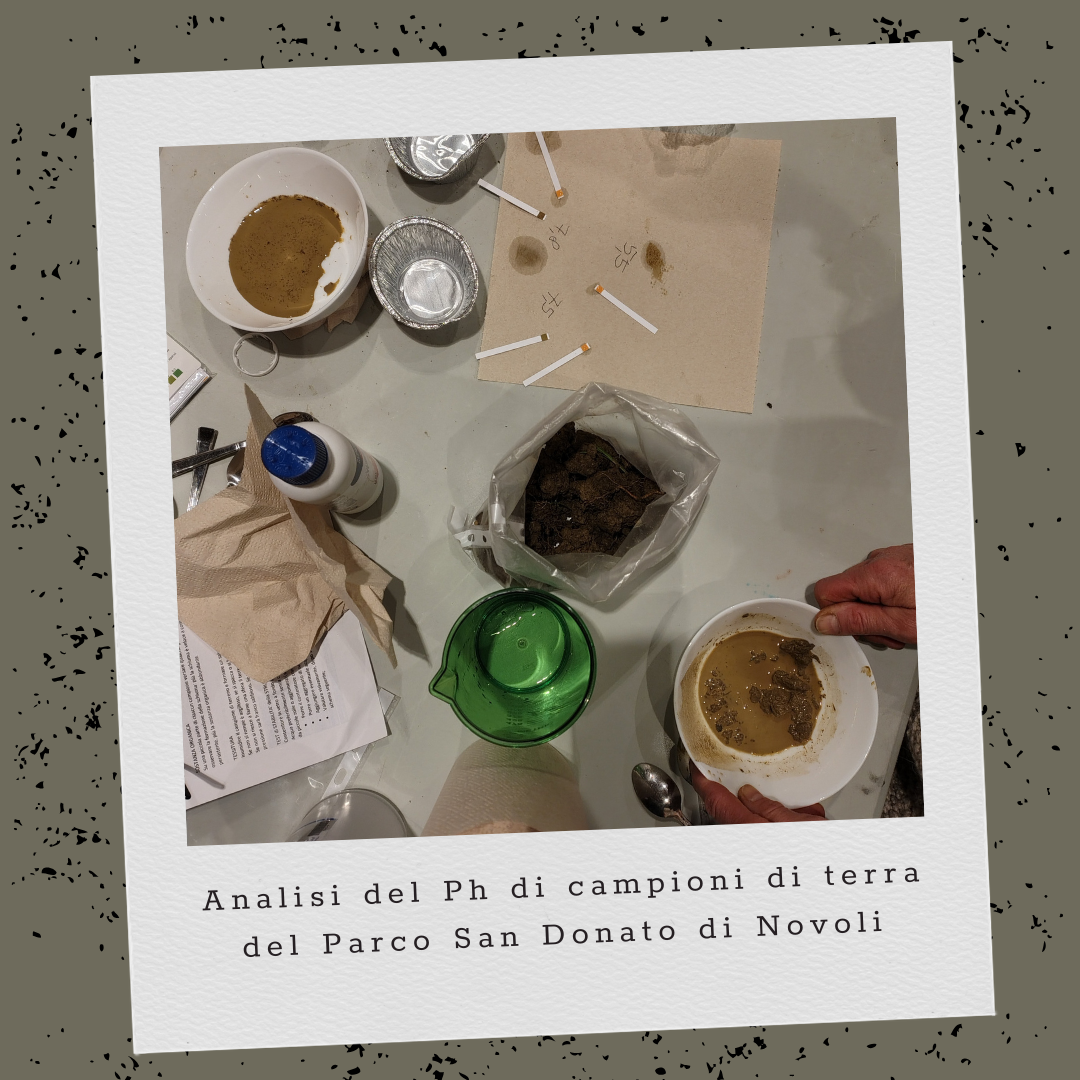 L'Erba Canta Associazione Culturale