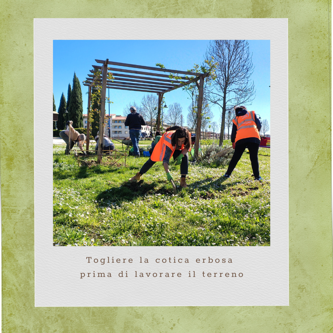 L'Erba Canta Associazione Culturale