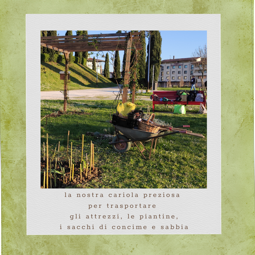 L'Erba Canta Associazione Culturale