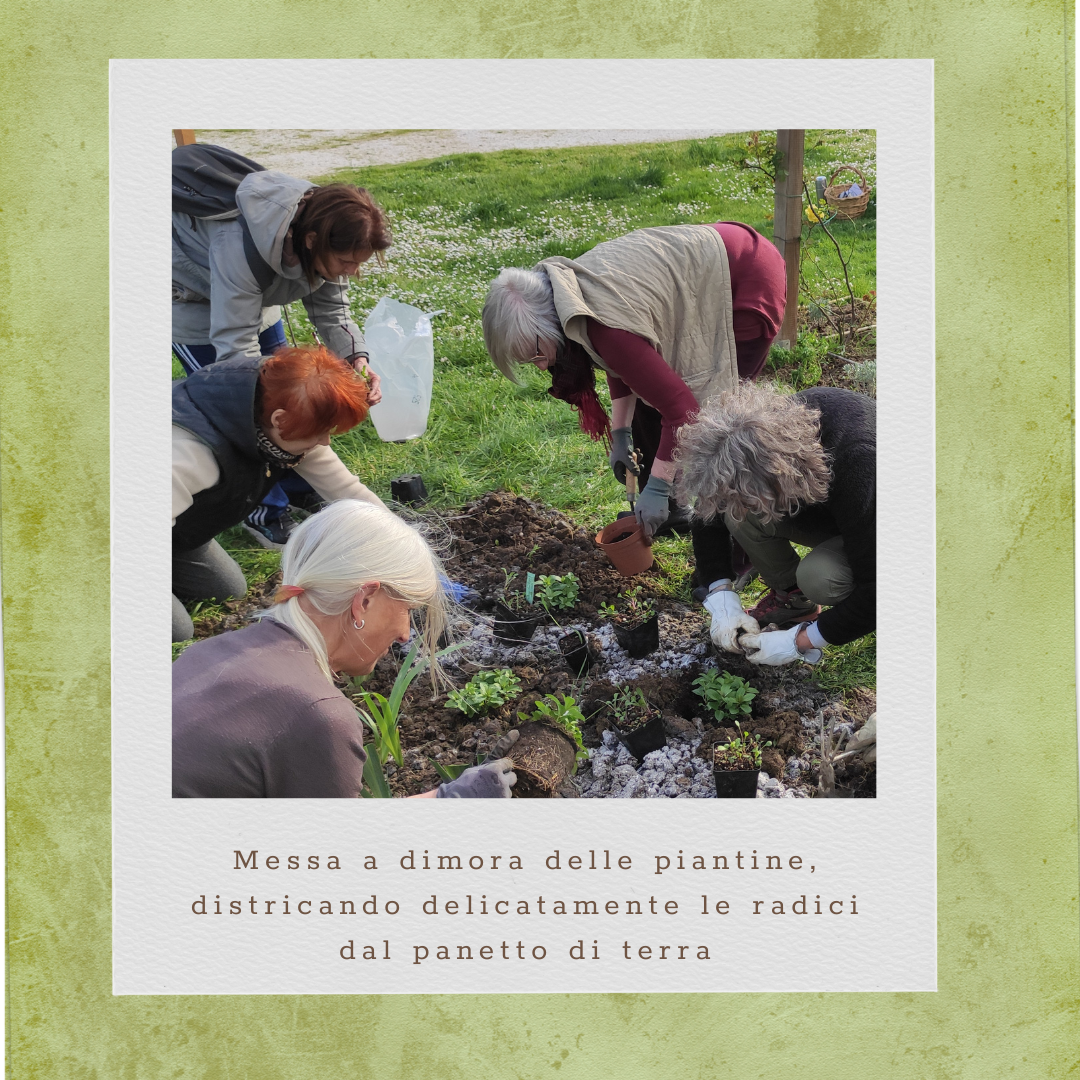 L'Erba Canta Associazione Culturale