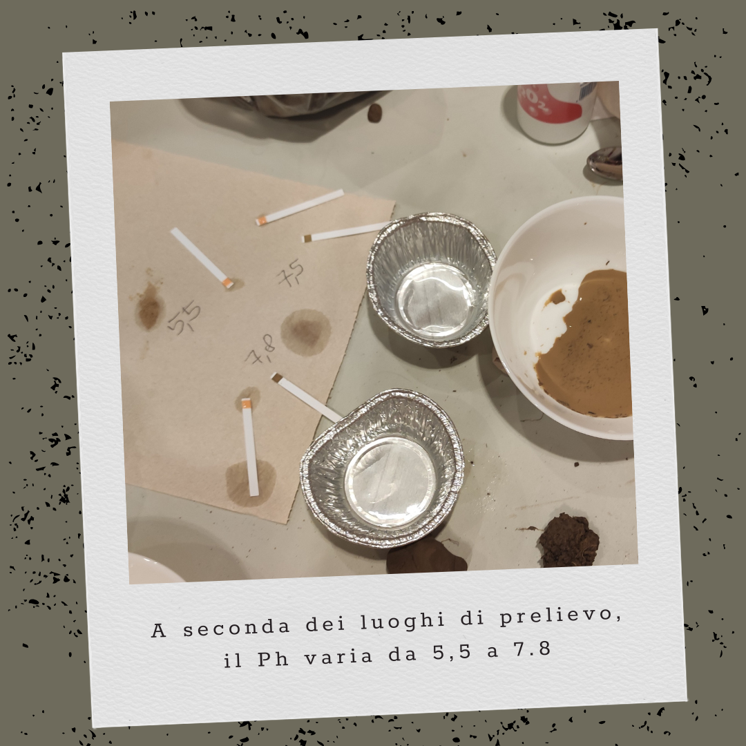 L'Erba Canta Associazione Culturale