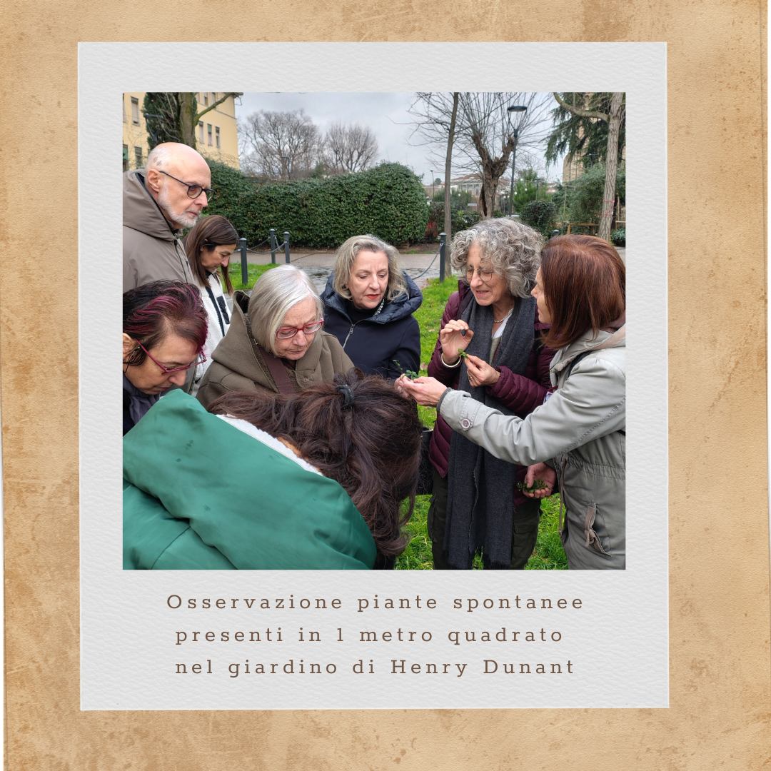 L'Erba Canta Associazione Culturale