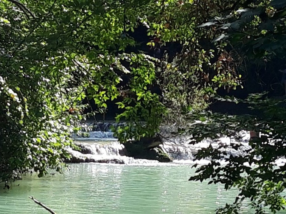 L'Erba Canta Associazione Culturale