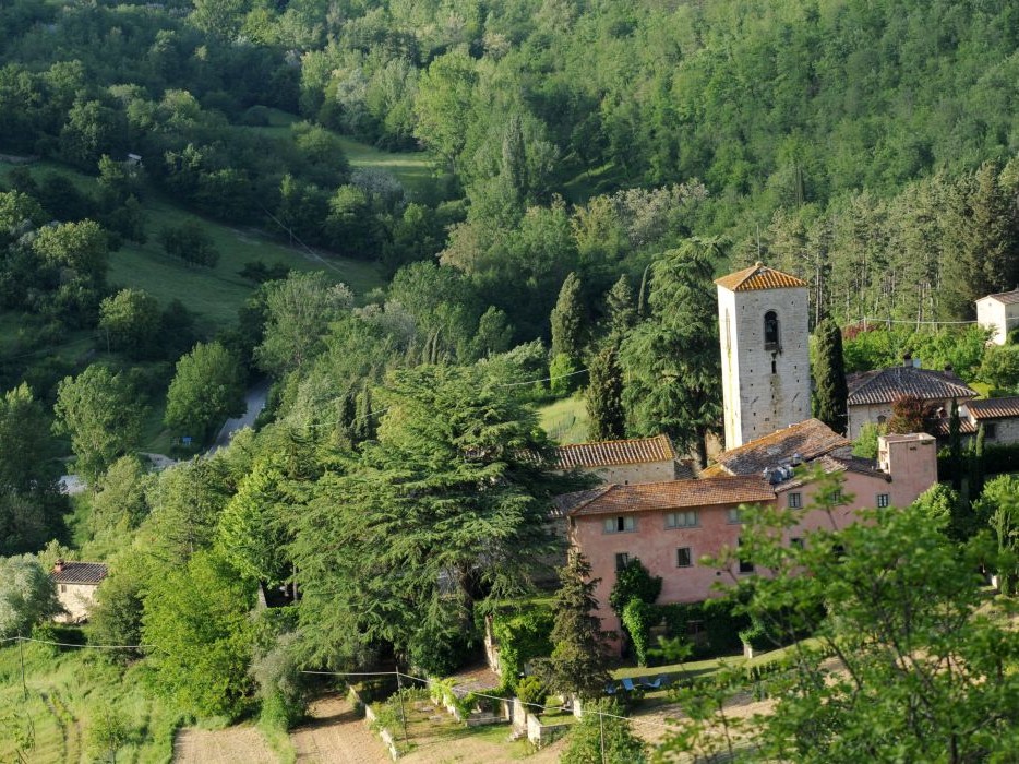 L'Erba Canta Associazione Culturale